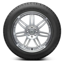 BFGoodrich (205/55R16 91T BFG ADVANTAGE T/A)