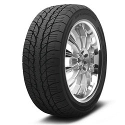 BFGoodrich (205/55R16 91H BFG g-FORCE SUPER SPORT A/S)