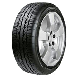 BFGoodrich (205/55R16 91H BFG g-FORCE SUPER SPORT A/S)