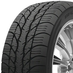 BFGoodrich (205/55R16 91H BFG g-FORCE SUPER SPORT A/S)