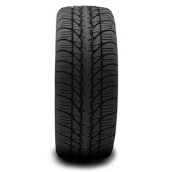 BFGoodrich (205/55R16 91H BFG g-FORCE SUPER SPORT A/S)