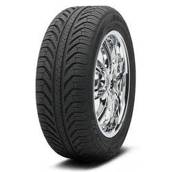 Michelin (255/45R19 100V MIC PILOT SPORT A/S PLUS DT N1 BW)