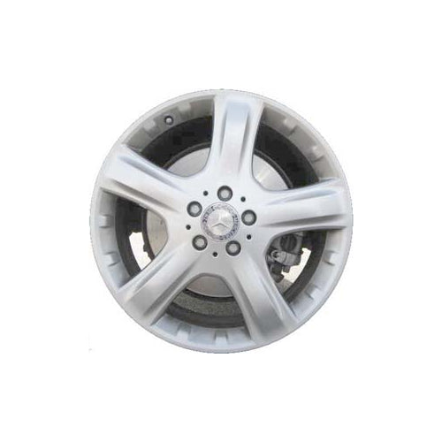 Mercedes-Benz 19" Powder Coat Silver OEM Rim Wheel 65369 A1664011202